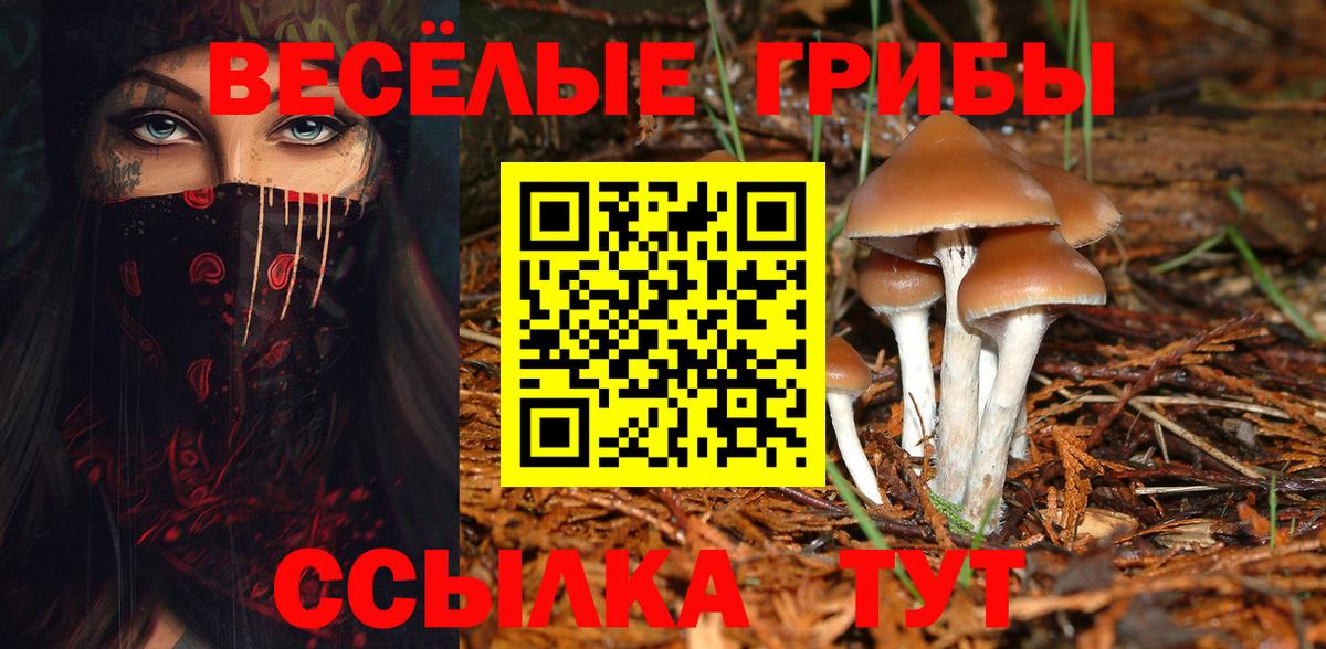 Псилоцибиновые грибы MAGIC MUSHROOMS Изобильный