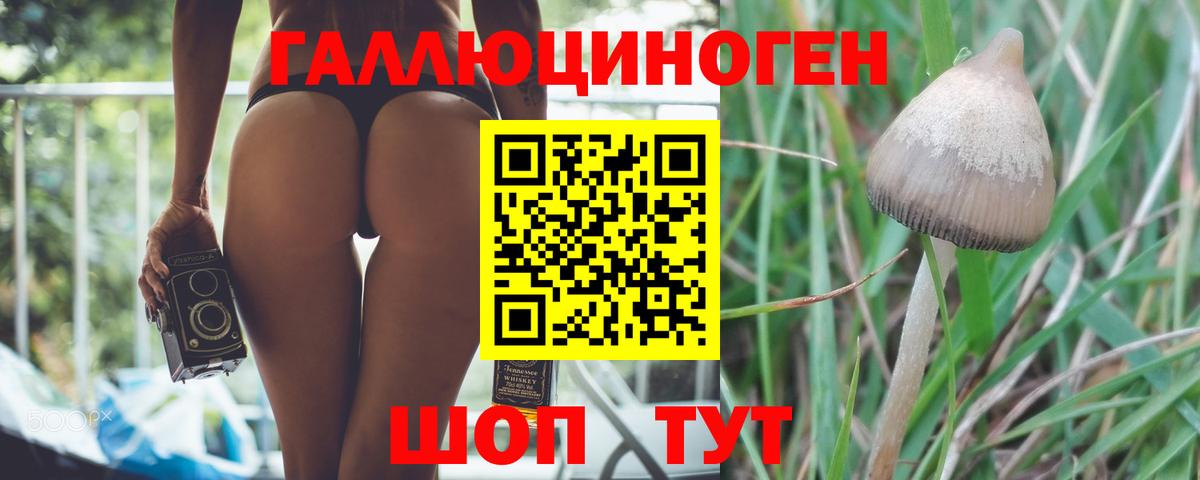 Изобильный  Галлюциногенные грибы прущие грибы  Вход с VPN  Галлюциногенные грибы мухоморы 